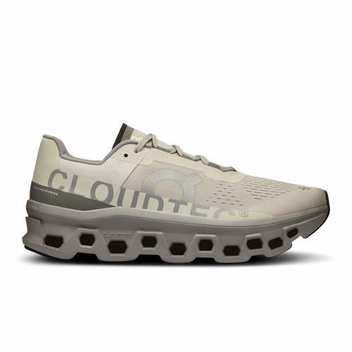 On Running Cloudmonster Ice/Alloy